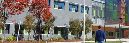 Ground Face