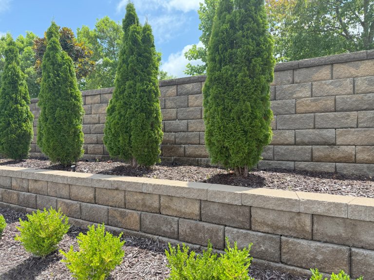 Diamond Pro Stone Cut in Native Soil